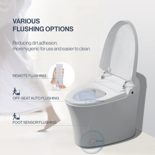 R&T Smart Bidet Toilet for Bathroom, Elongated Tankless Toilet Wayfair